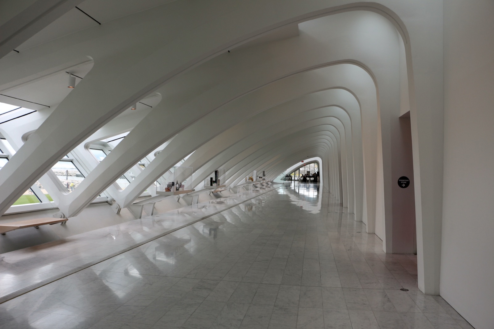 Milwaukee Art Museum Windhover Hall interior showing Calatrava's white concrete spars and vaulted glass ceiling